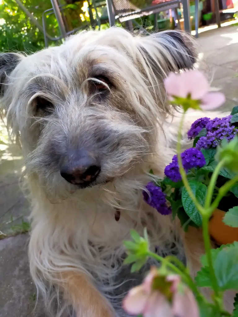 Bild von Celine (Line)