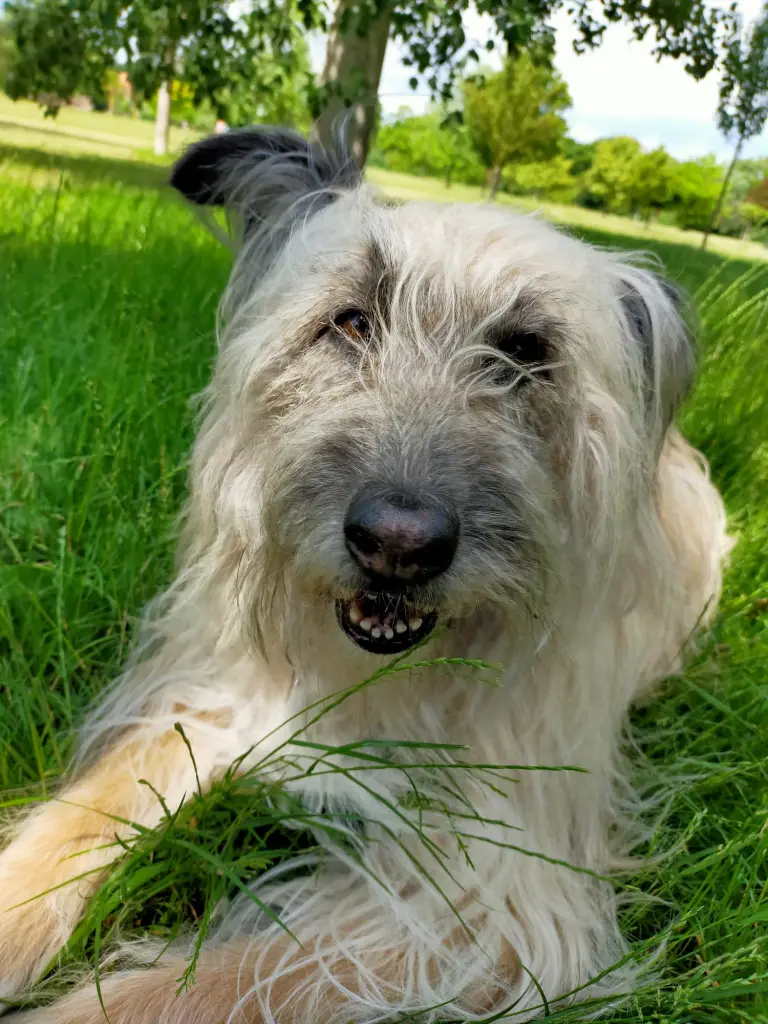 Bild von Celine (Line)