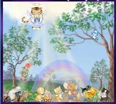 Condolence image of Britta -Rocky's Lieblingsmensch-