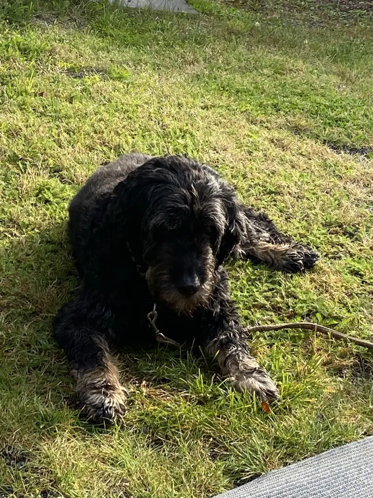 Image from Ben