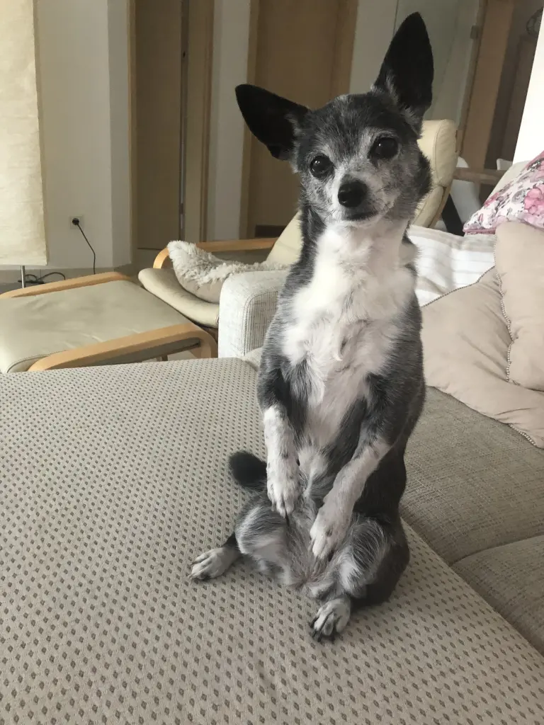 Condolence image of Pamela