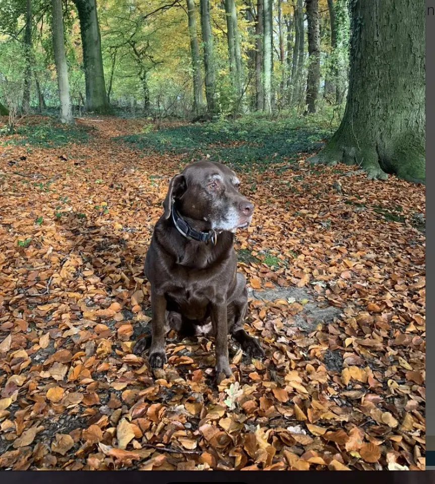 Andachtsbild von Ilona 