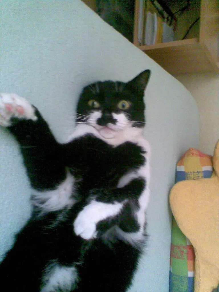Image from Nelly
