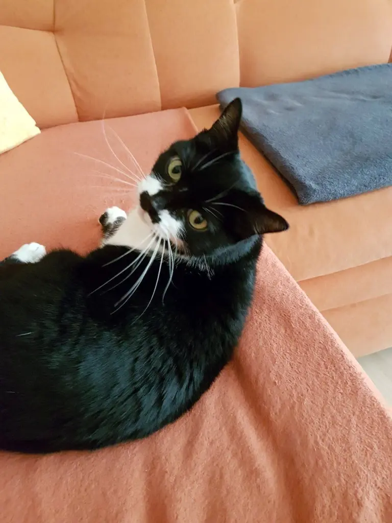 Image from Nelly