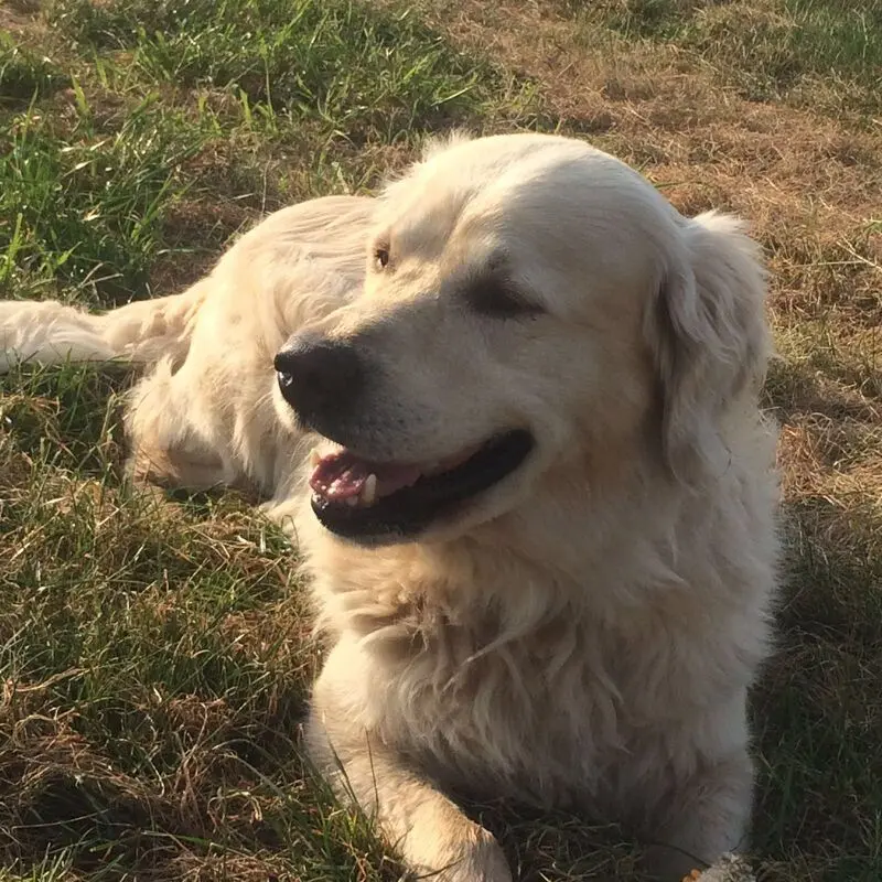 Andachtsbild von Andy und Piet