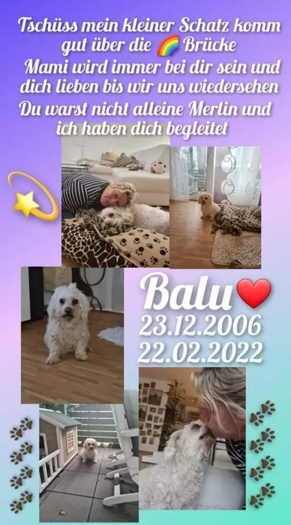 Image from Balu