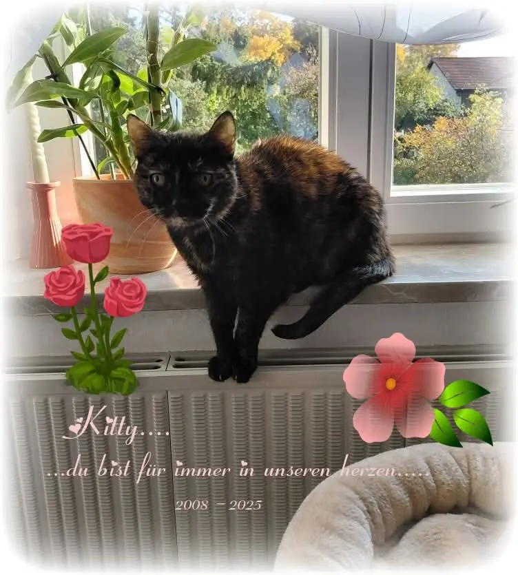 Condolence image of Regina Kunze