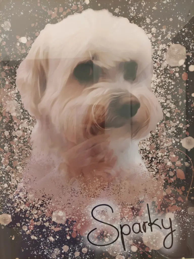 Image from Sparky 