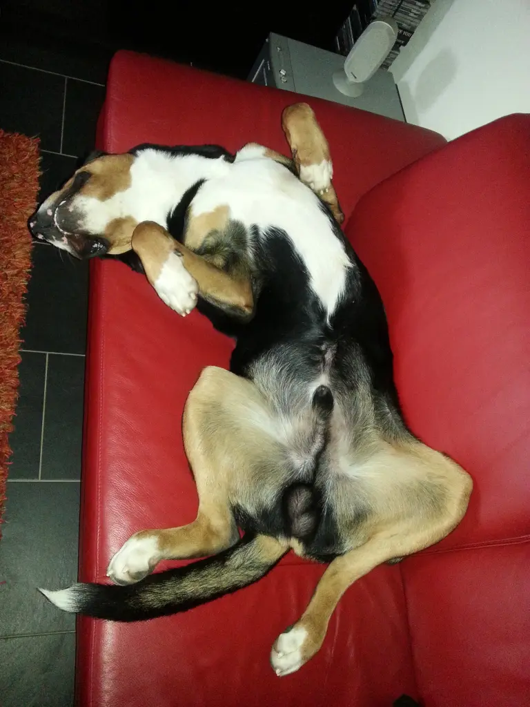 Image from Eyko