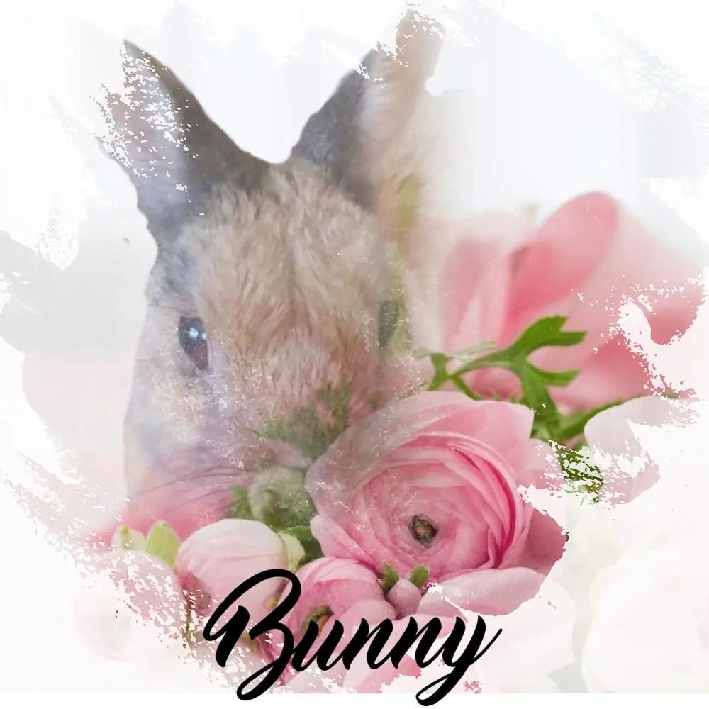 Condolence image of Patricia mit Bunny im Herzen ❤️ gest.24.11.2020