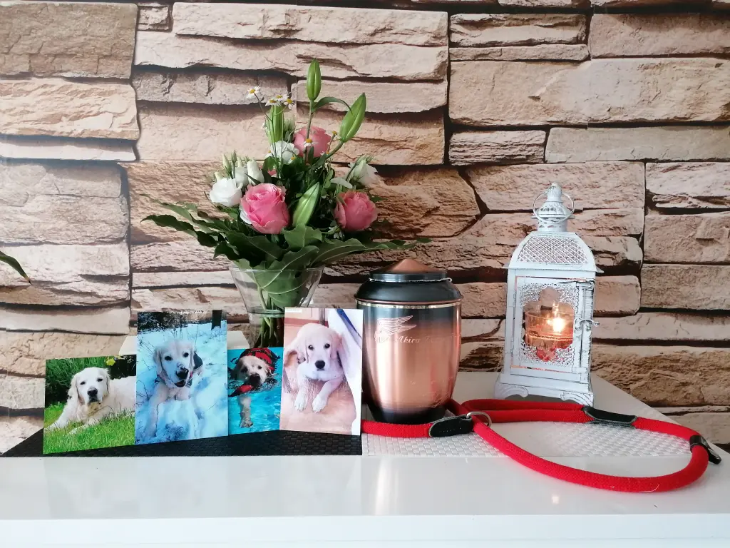 Condolence image of Cindy Spanu