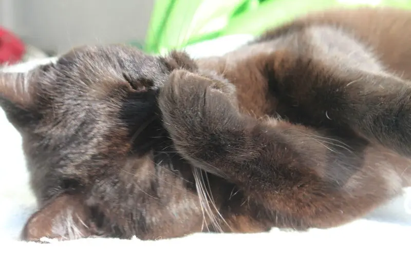 Condolence image of Mauzy