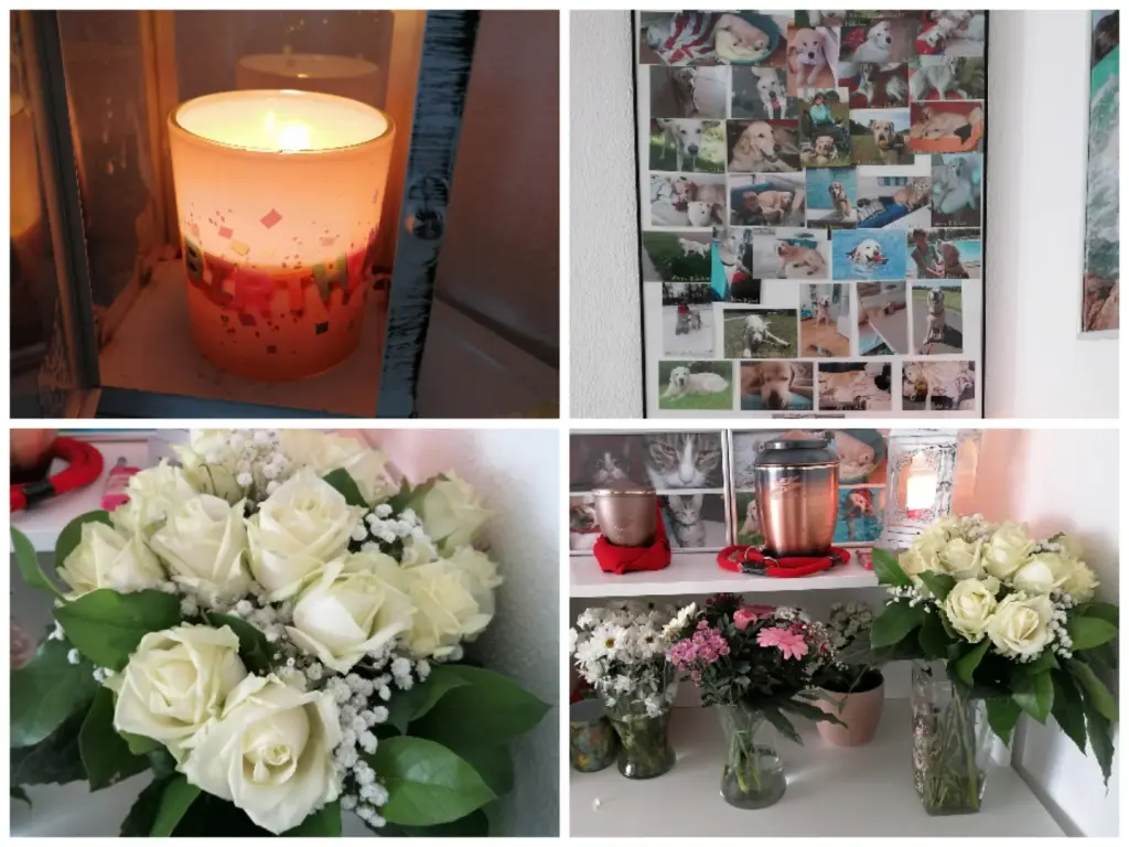 Condolence image of Cindy