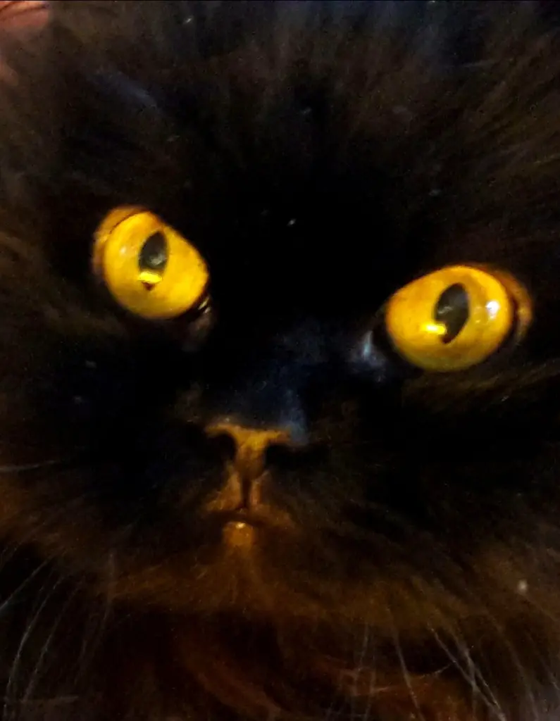 Condolence image of Sandra