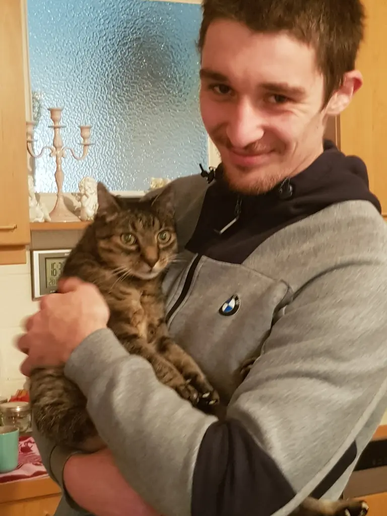 Image from Benny