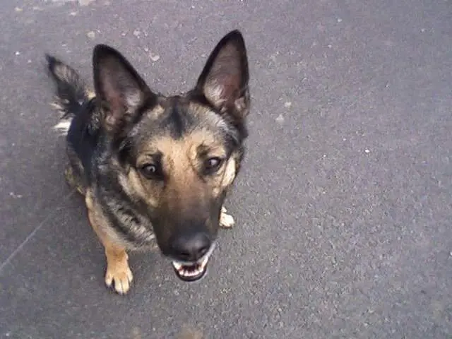 Image from Momo
