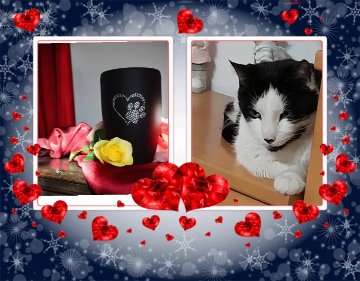 Condolence image of Iris & Arno ♥️
