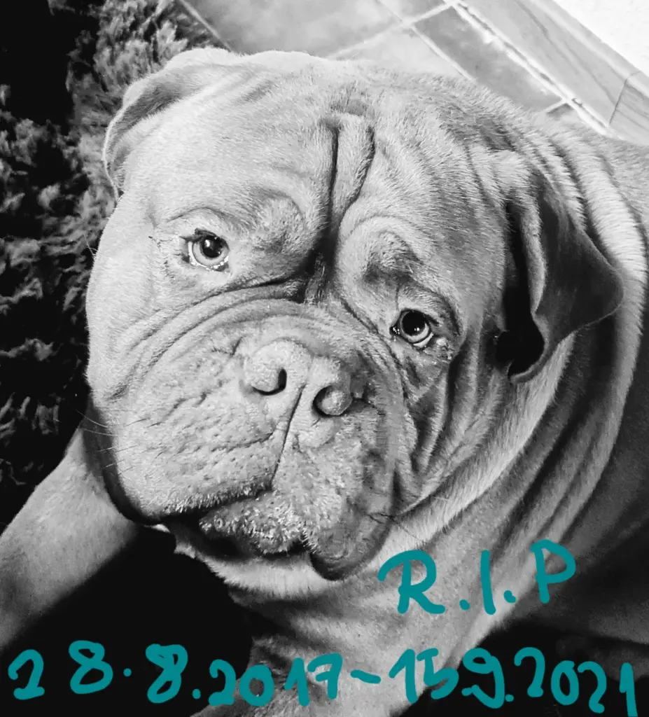 Image from Kowalski