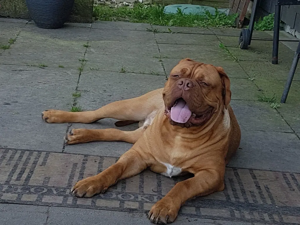 Image from Kowalski