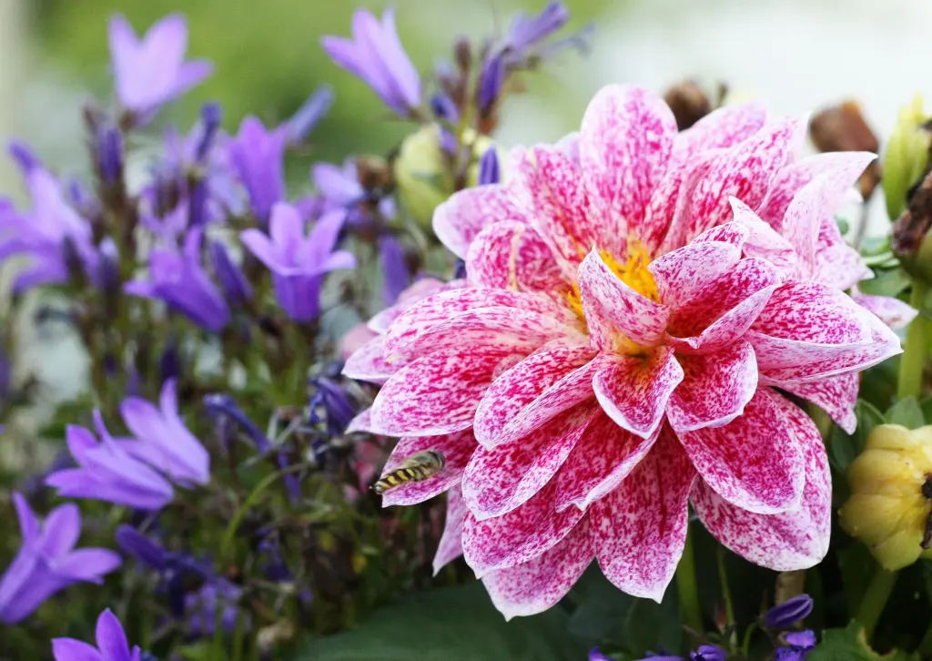 Condolence image of Maite