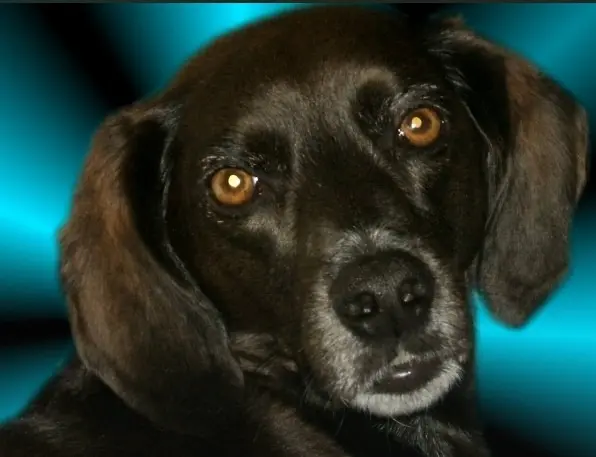 Condolence image of Erika