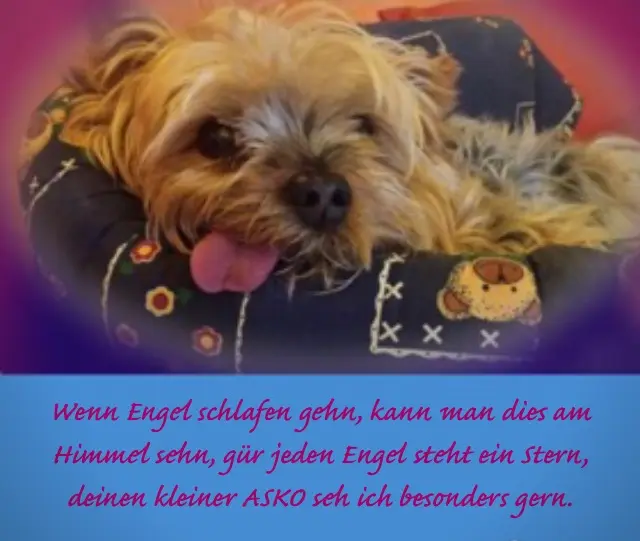 Condolence image of Carola