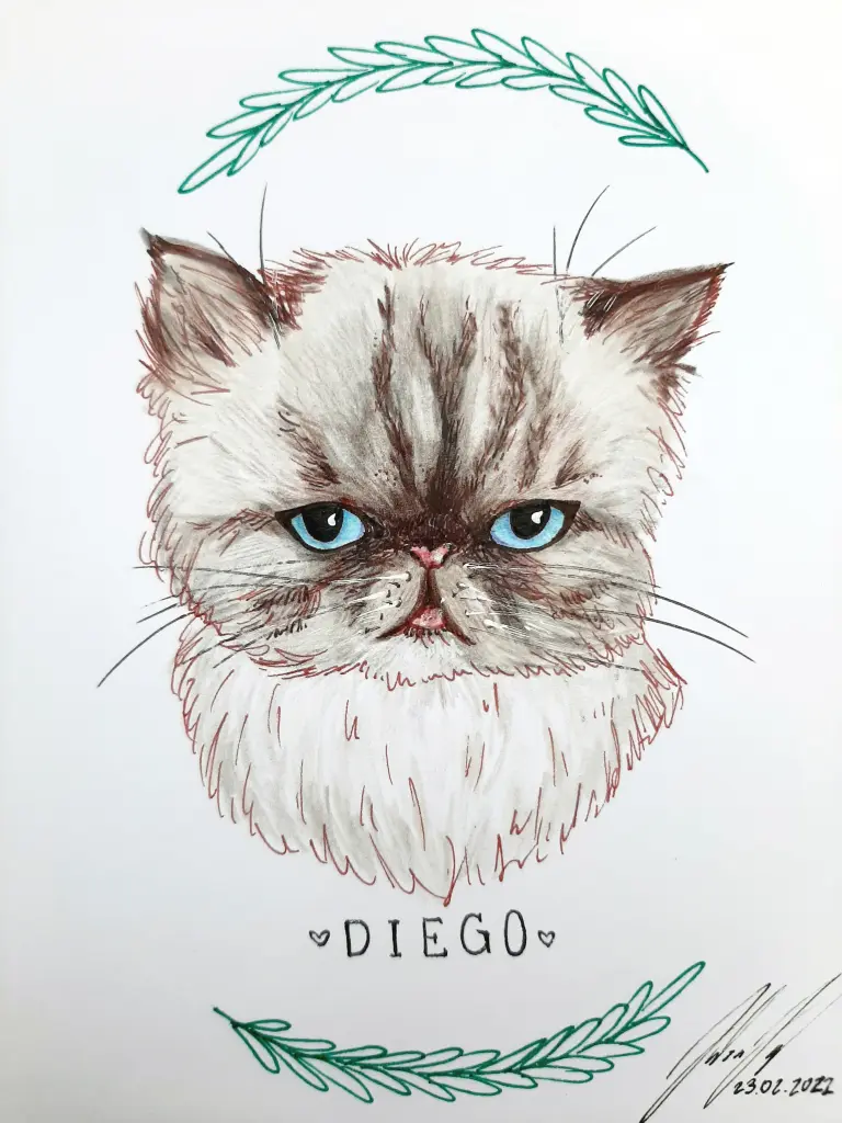 Image from Diego
