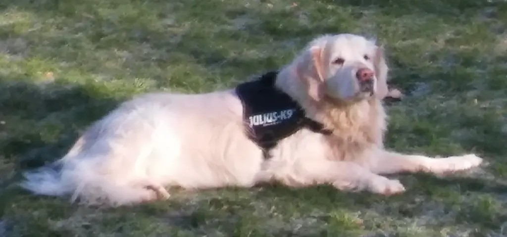 Condolence image of Steffi und Benji 