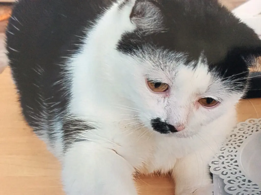 Condolence image of Eleonore