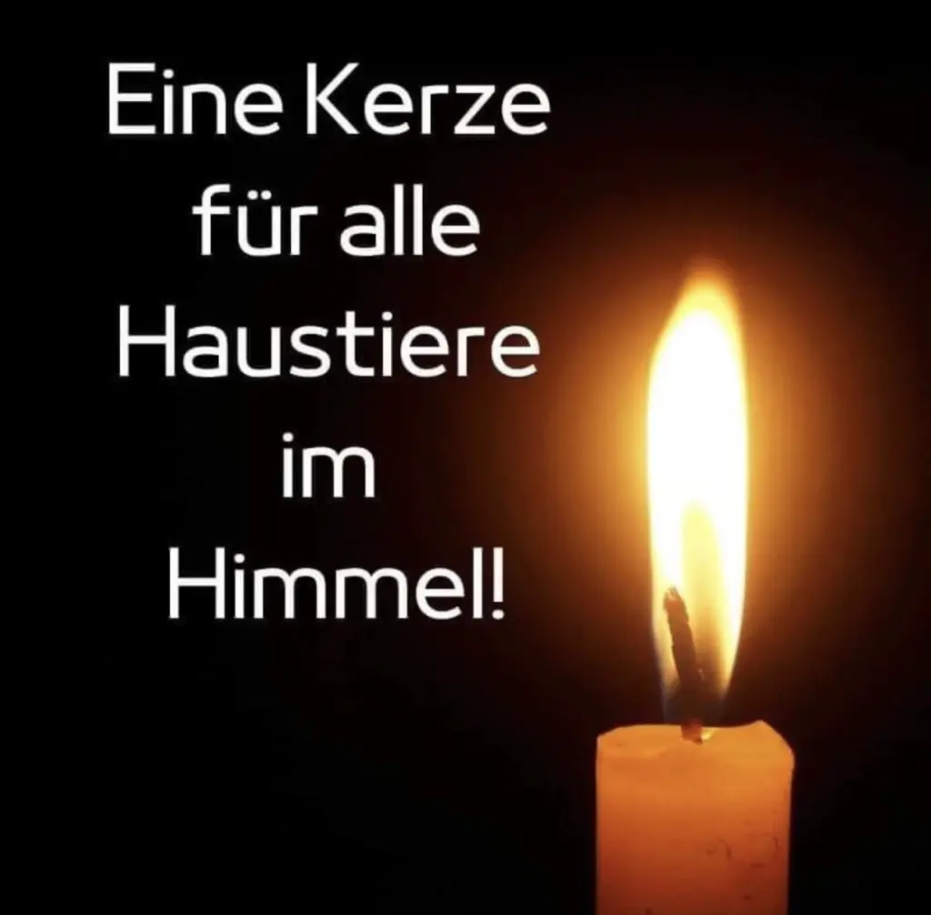 Condolence image of Chrisi