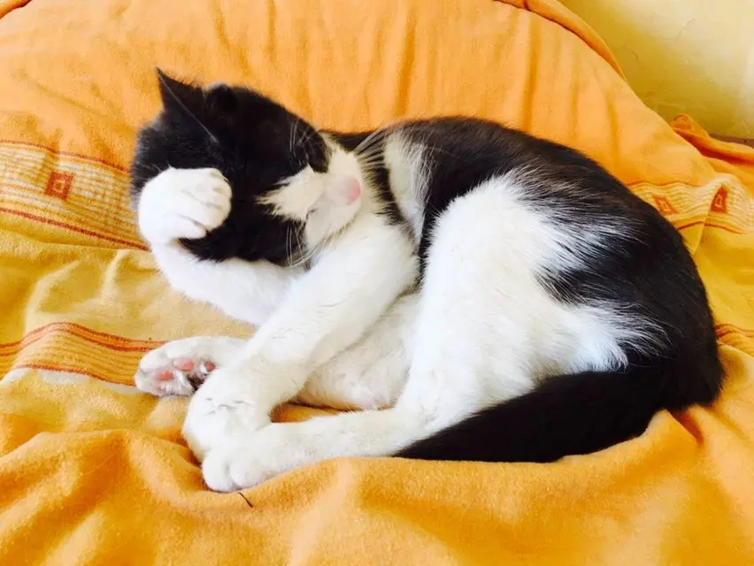 Condolence image of Claudia 