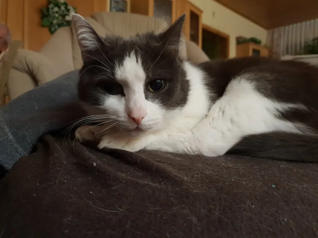 Condolence image of Claudia 