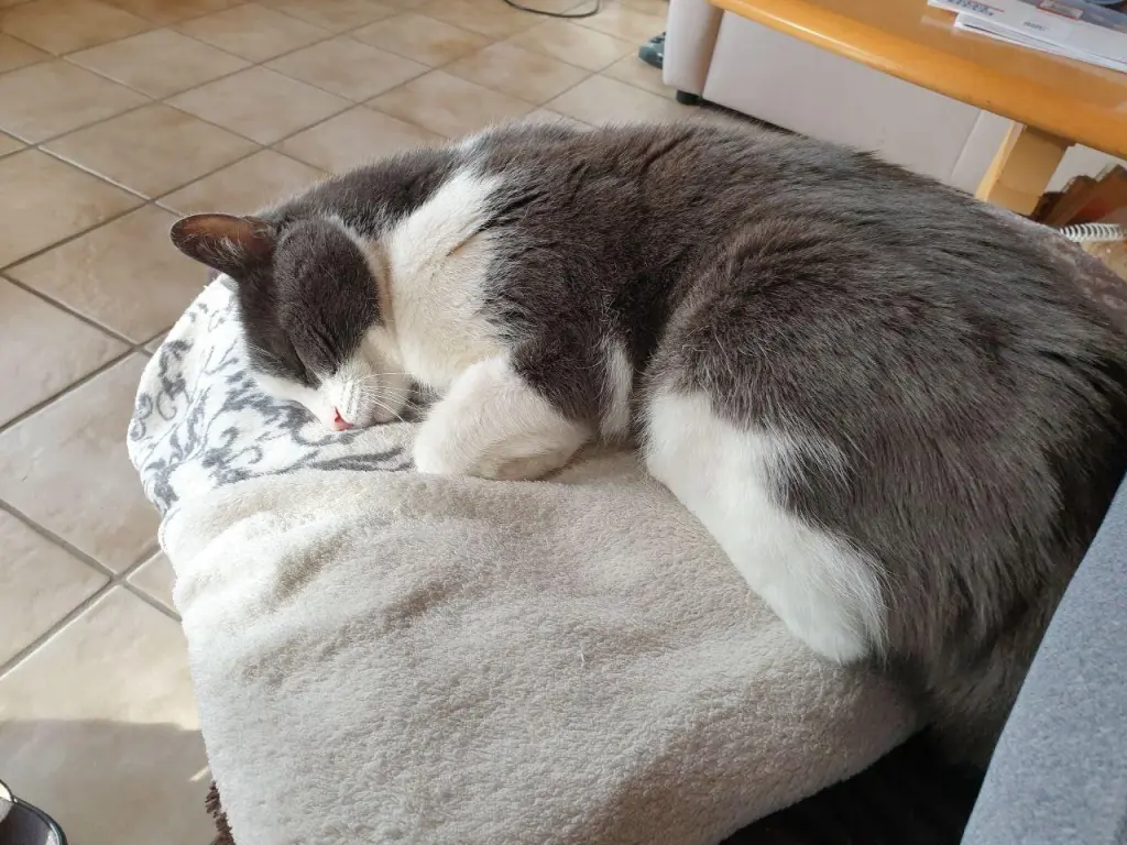 Condolence image of Claudia 