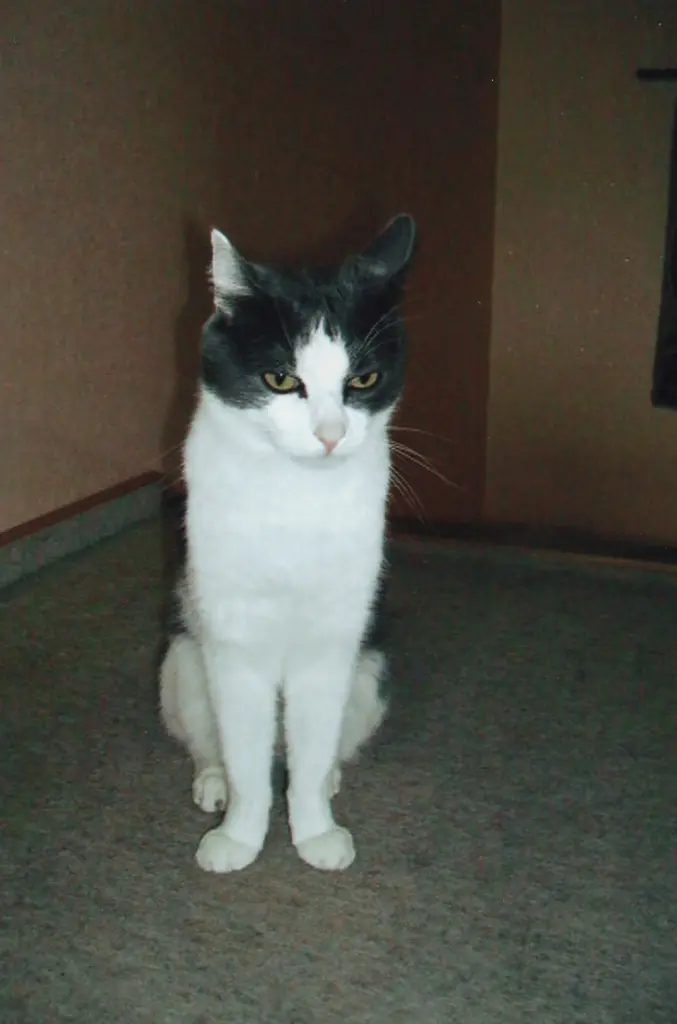Condolence image of Claudia 