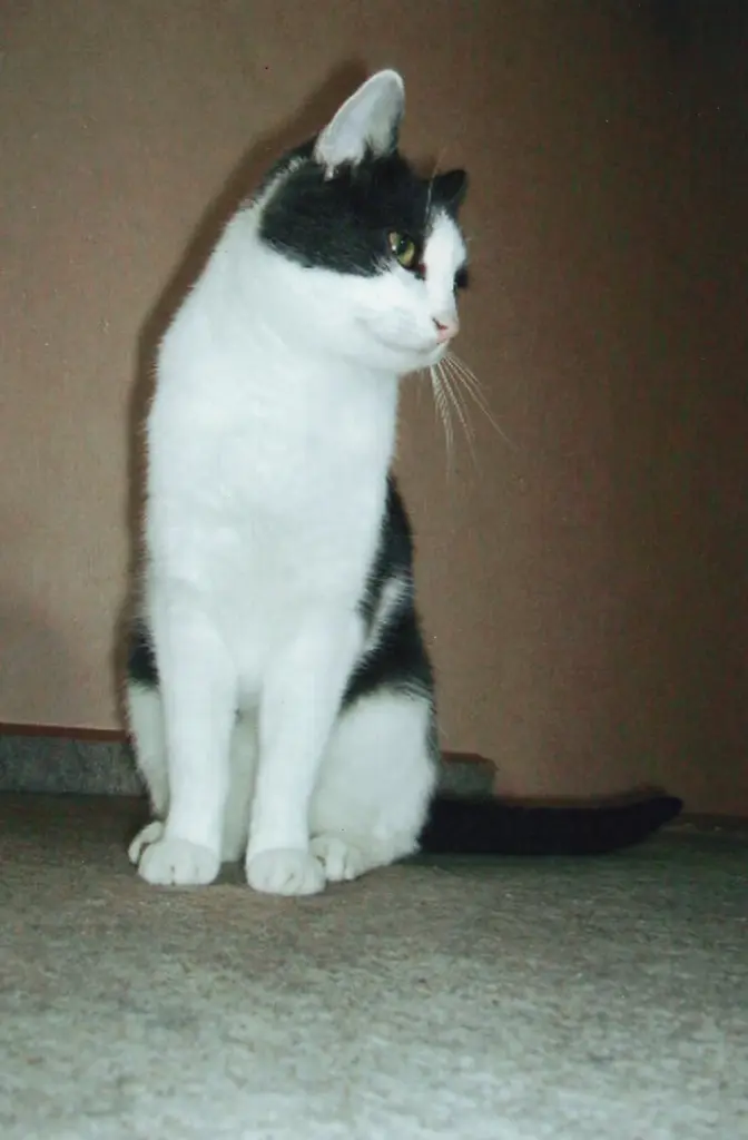 Condolence image of Claudia 