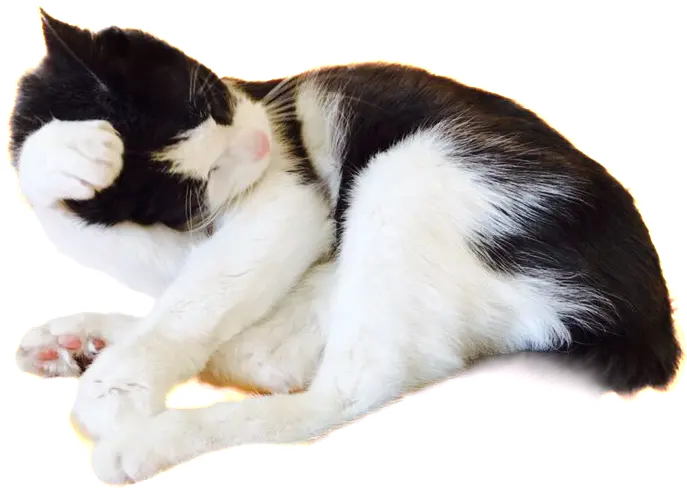Condolence image of Claudia 