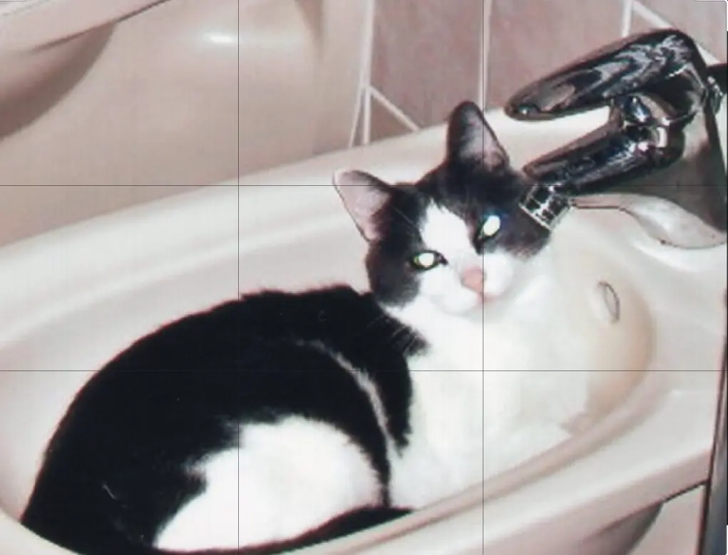 Condolence image of Claudia 