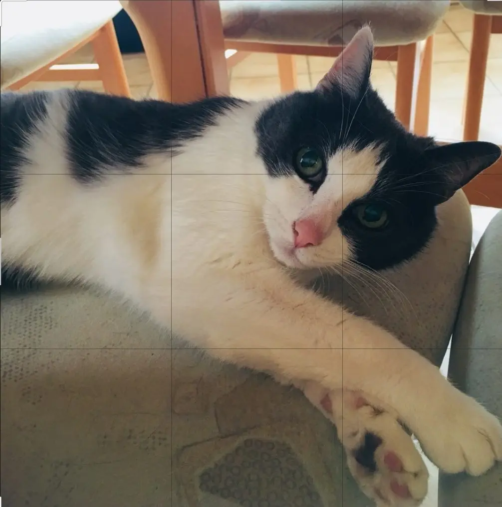 Condolence image of Claudia