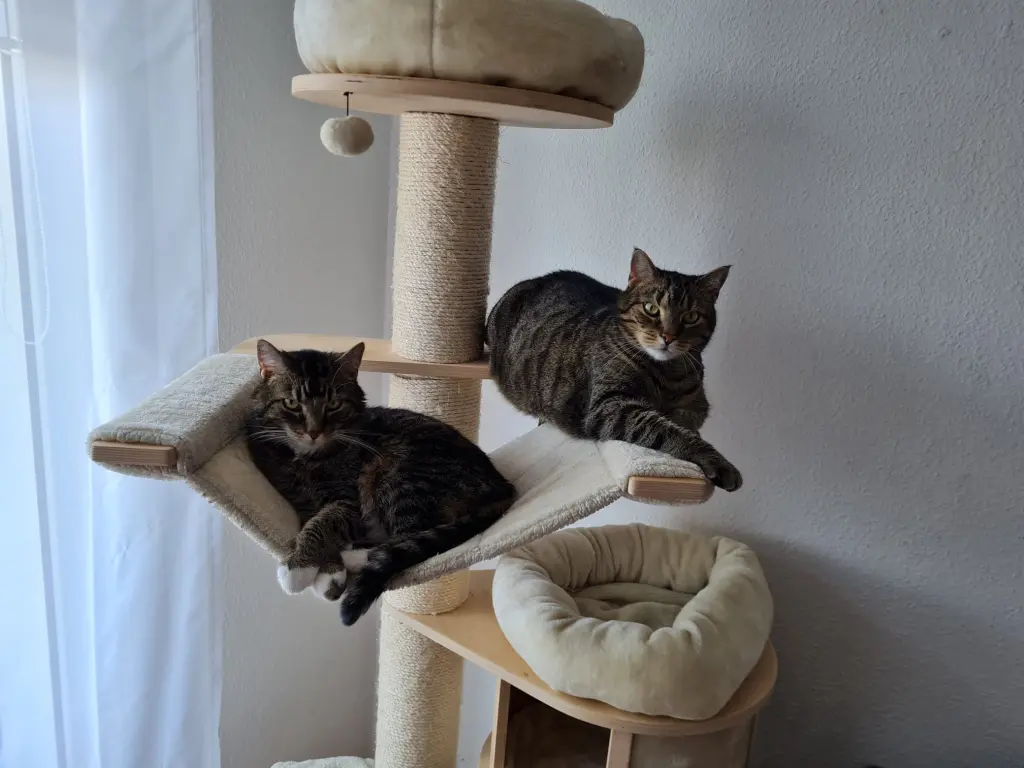 Image from Bruno