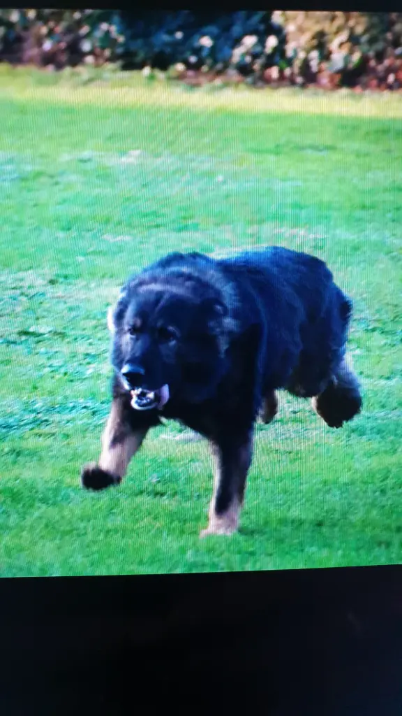 Andachtsbild von Christiane