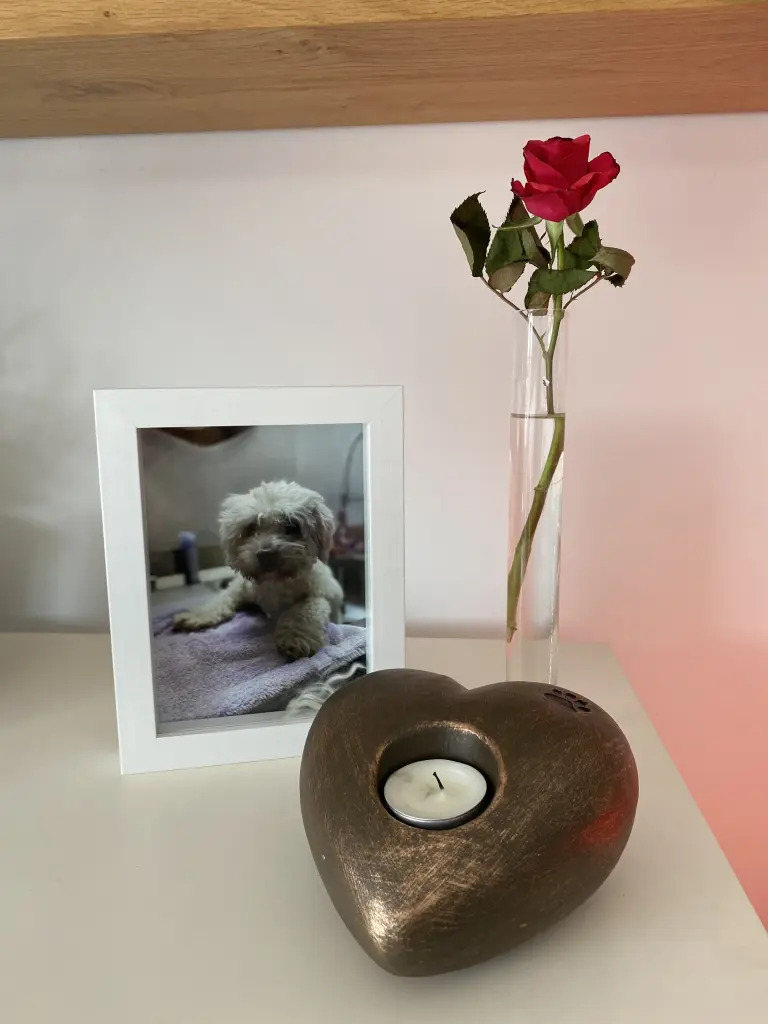 Condolence image of Frank