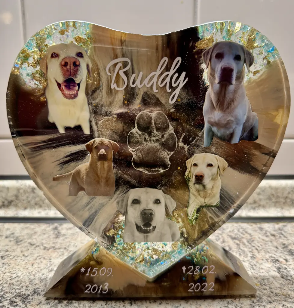 Condolence image of Marta für mein Buddy ❤️