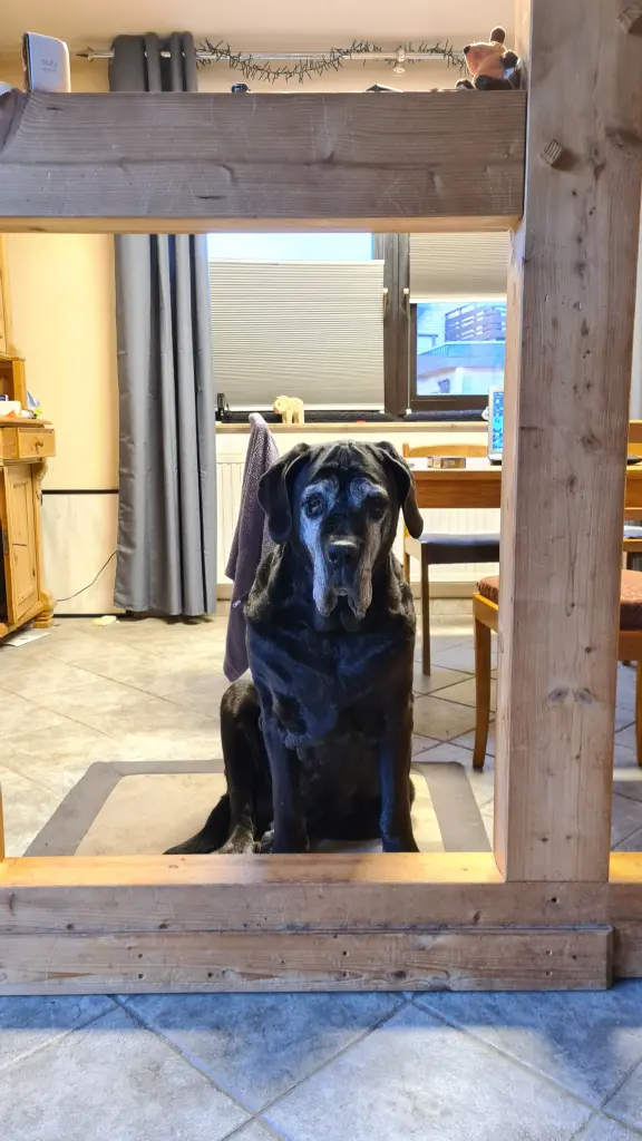 Condolence image of Ralf