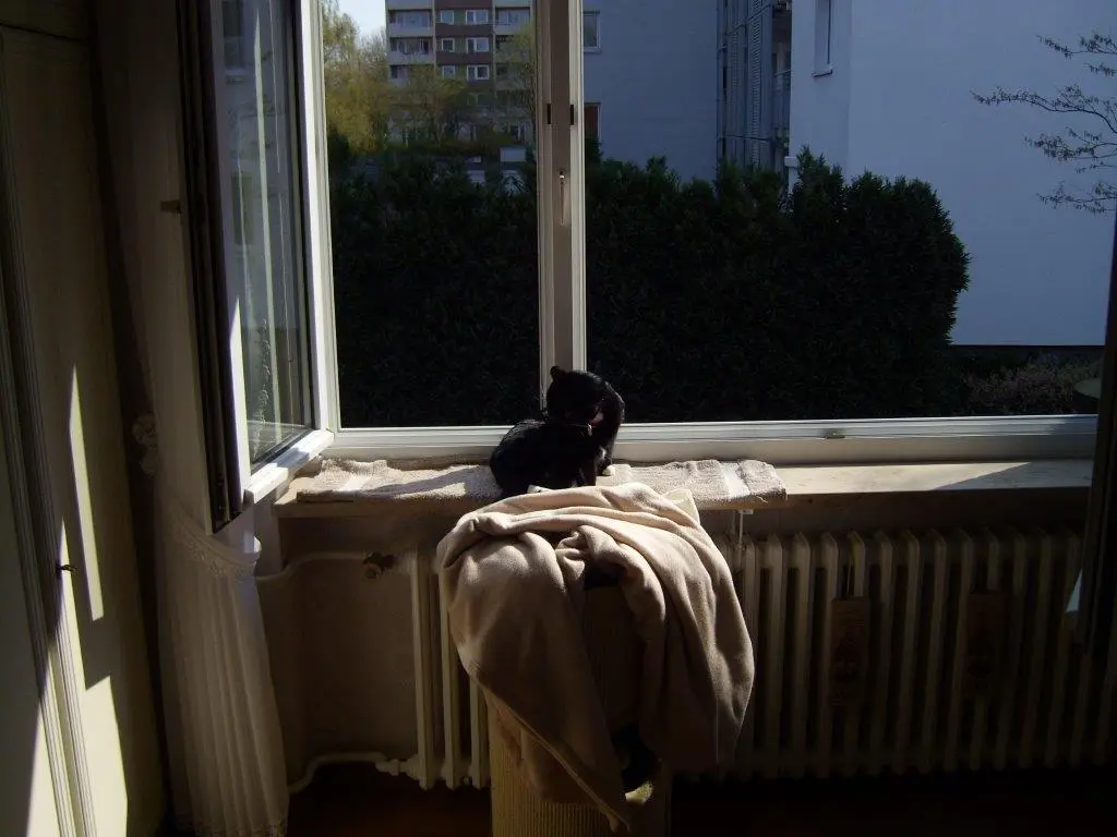 Condolence image of Heide mit Cita im Herzen❤️