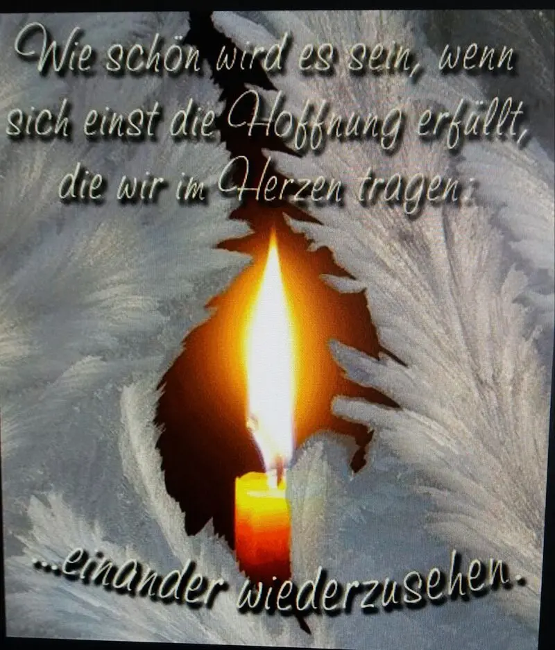 Condolence image of Jacqueline mit Aro & Diego tief und für immer im Herzen❤