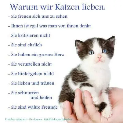 Condolence image of Zum Monatsgedenktag♥️