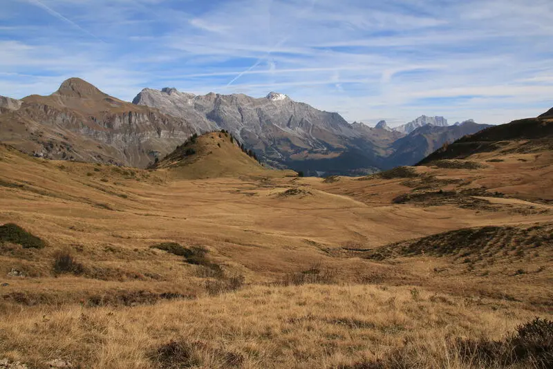 Condolence image of Hab einen schönen Tag❤️