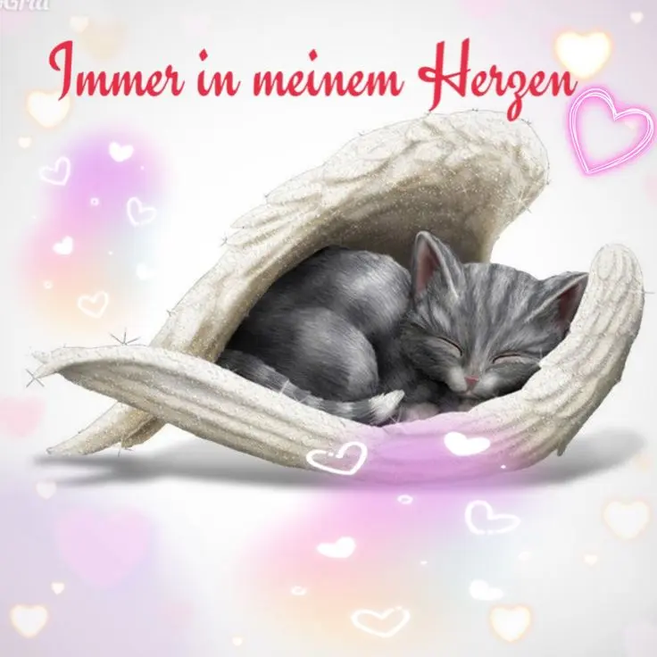 Condolence image of Zum Jahresgedenktag von Elvis❤️