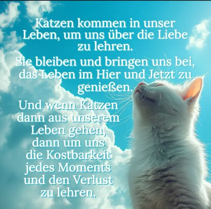 Condolence image of Zum Jahresgedenktag von Elvis❤️