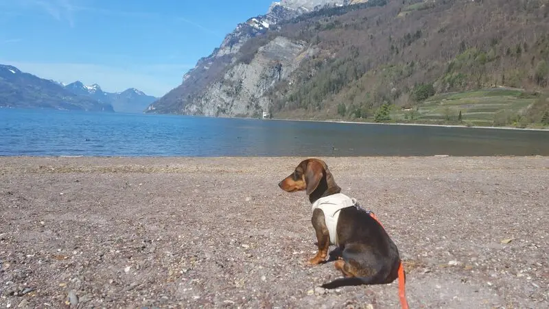 Condolence image of Schönes Wochenende❤️